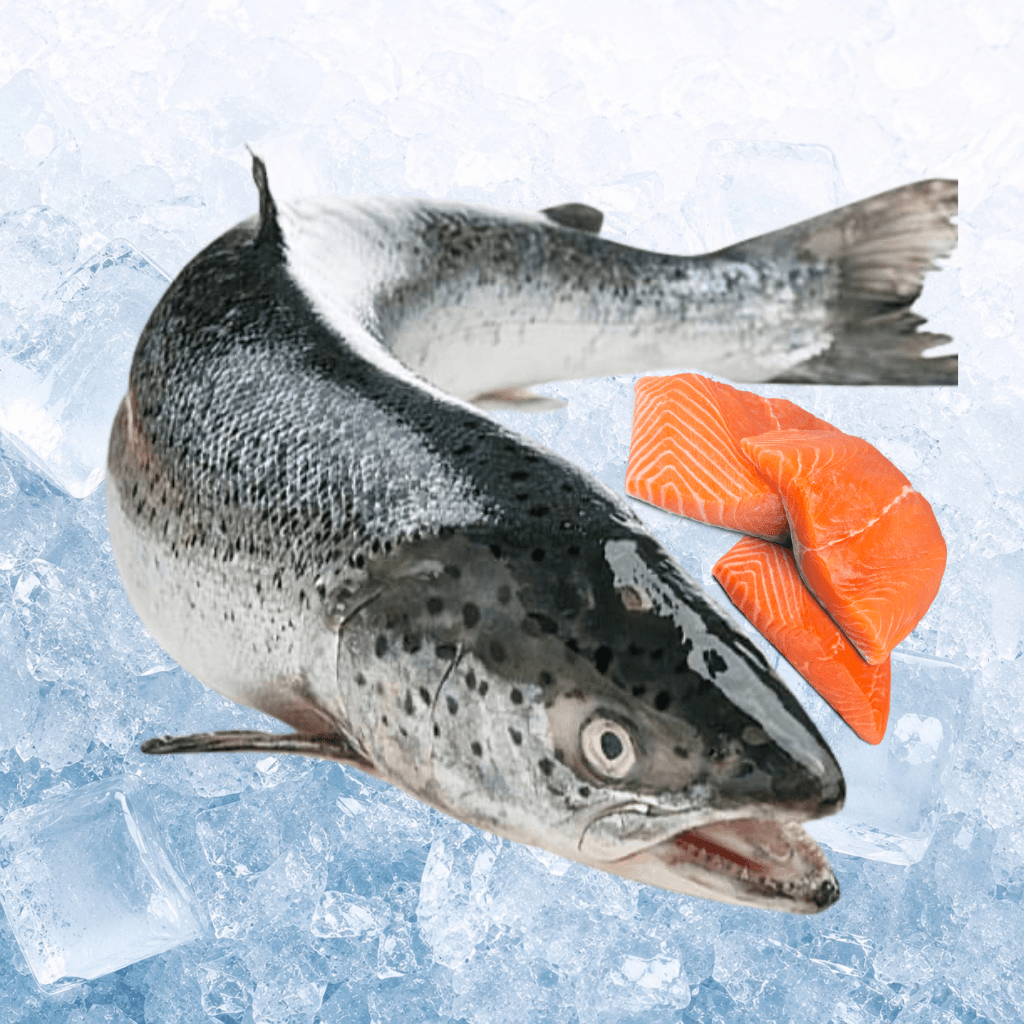 刺身三文鱼 Fresh Salmon Trout (Pre-order)