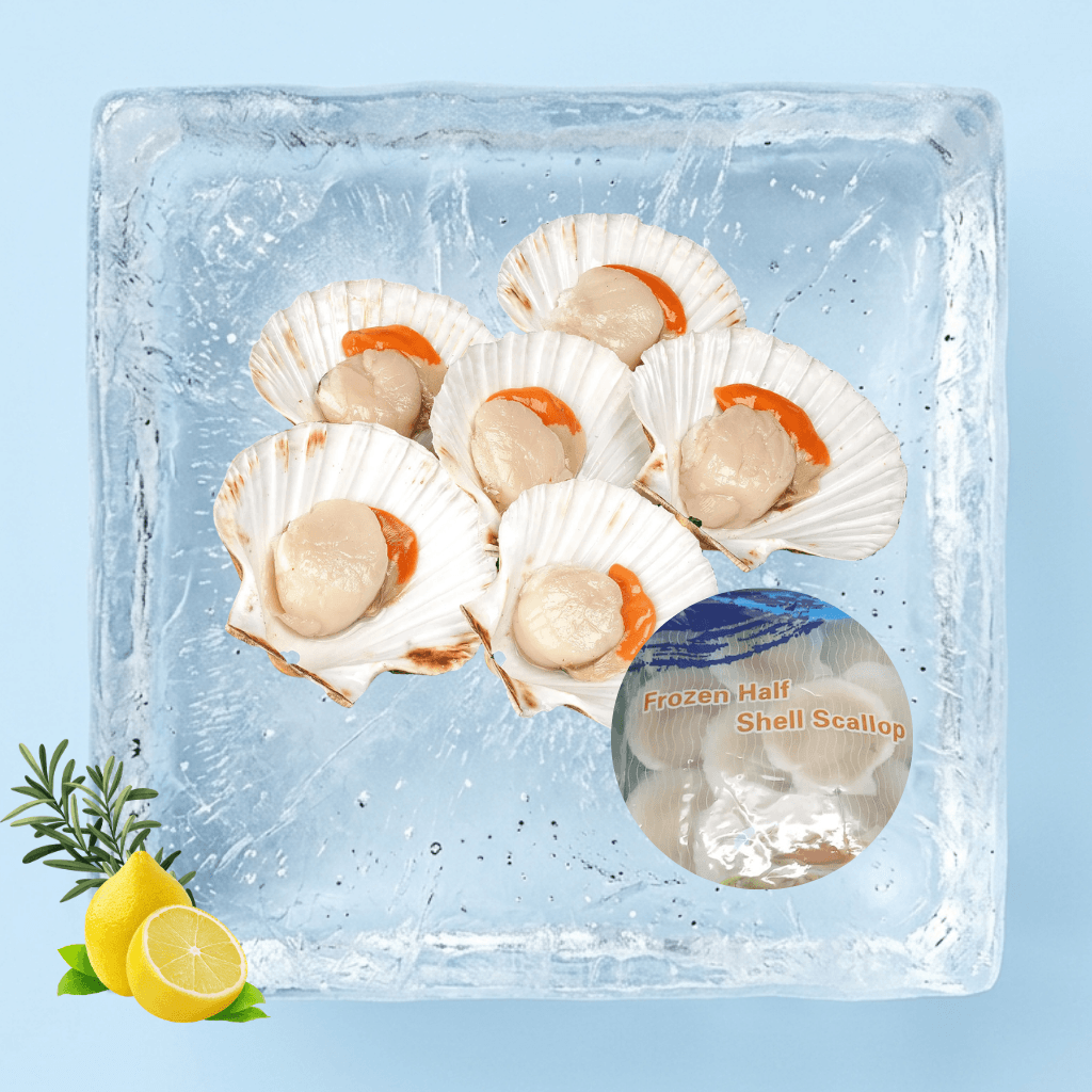 扇贝 Half Shell Scallop